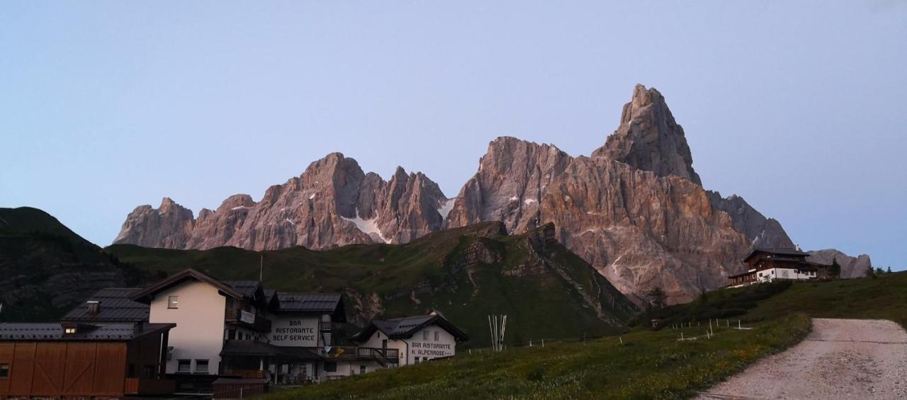 Hotel Alpenrose Passo Rolle Exteriör bild