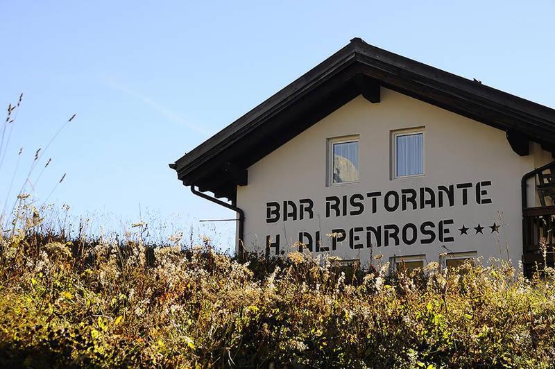 Hotel Alpenrose Passo Rolle Exteriör bild