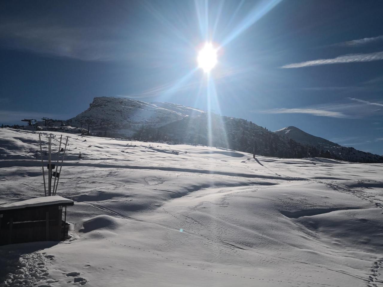 Hotel Alpenrose Passo Rolle Exteriör bild